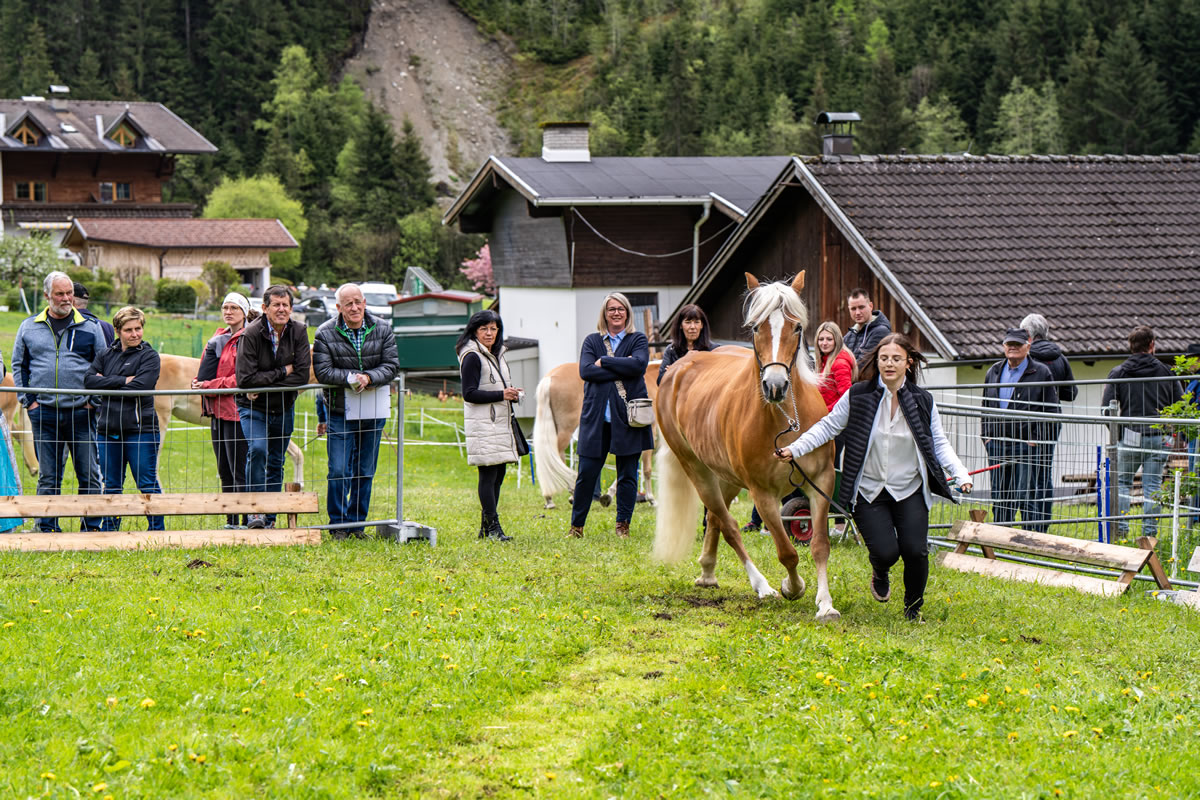 Alpengasthof Praxmar