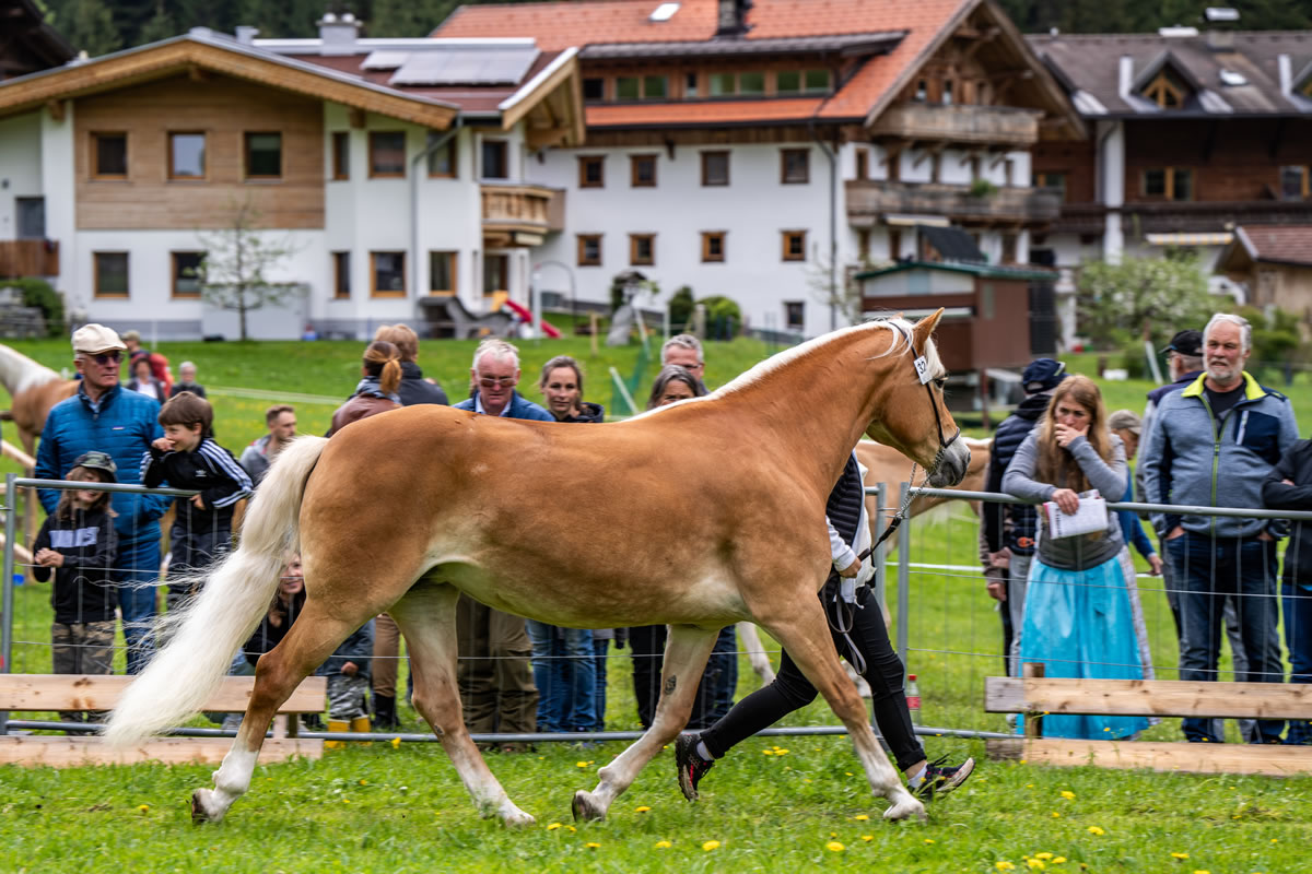 Alpengasthof Praxmar