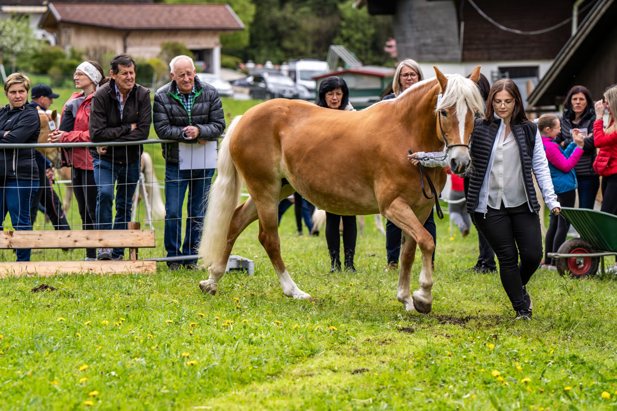 Alpengasthof Praxmar