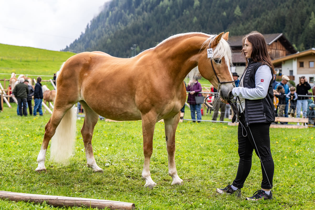 Alpengasthof Praxmar