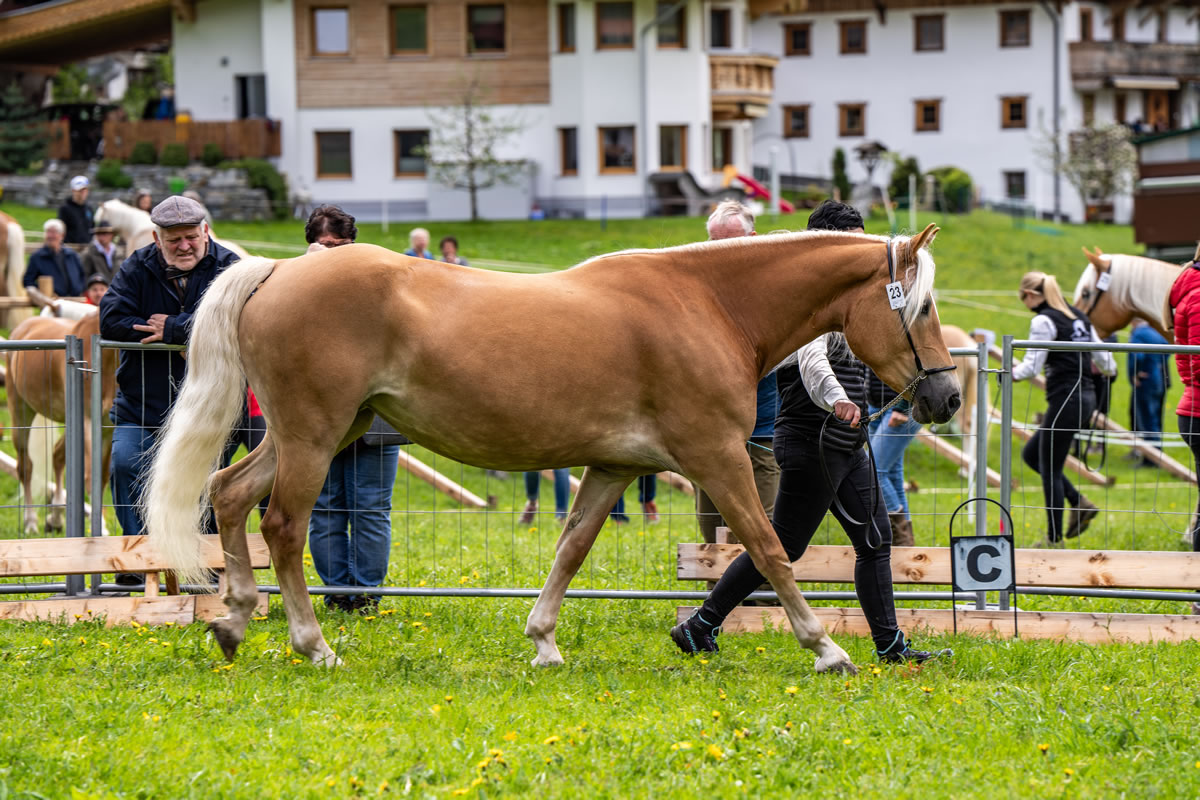 Alpengasthof Praxmar