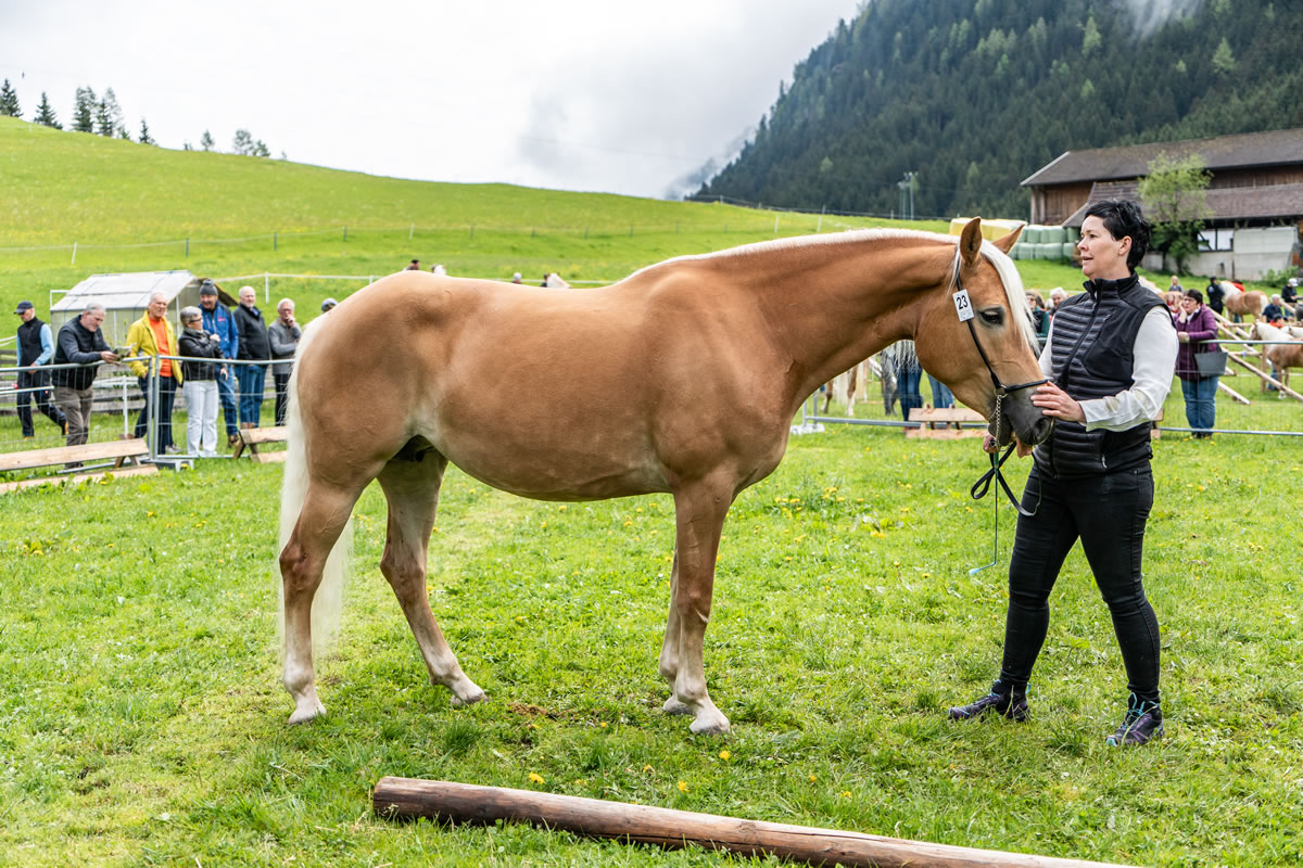 Alpengasthof Praxmar
