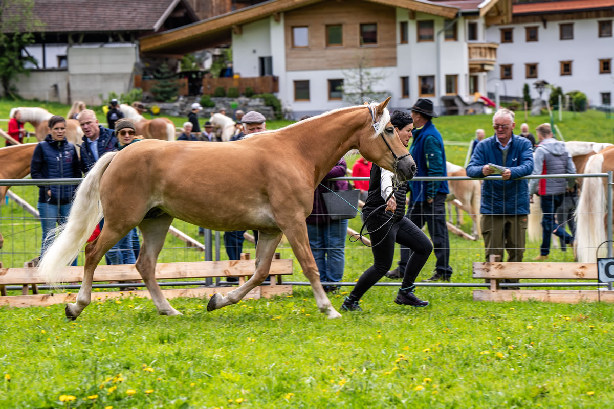 Alpengasthof Praxmar